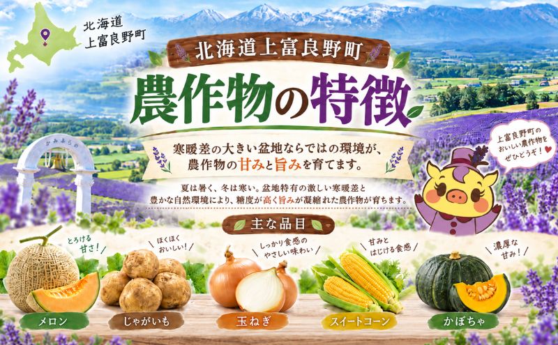 【令和8年産】じゃがいも【きたあかり】Lサイズ 約5kg≪北海道上富良野産≫ 野菜 ポテト 芋 産地直送