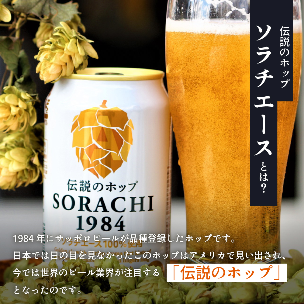 ビール SORACHI1984 350ml × 24缶 上富良野町発祥！ 伝説のホップ ソラチエース ソラチ sorachi ソラチ1984 サッポロビール サッポロ 地ビール お酒 酒 アルコール ヤマイチ 北海道 上富良野町