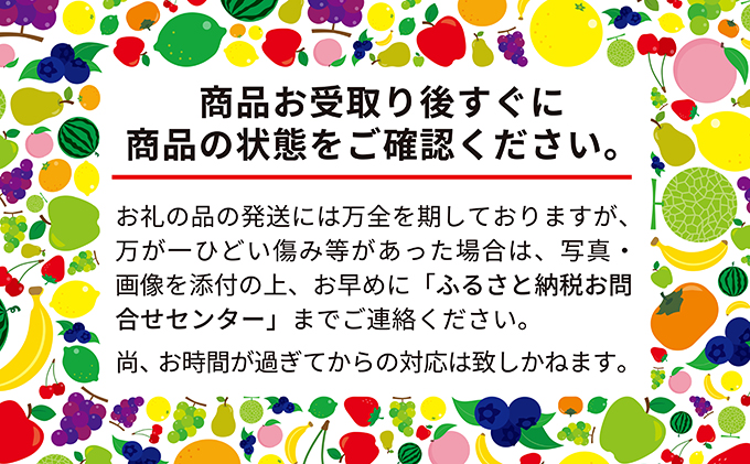 【令和8年産】朝採り【黄いとうもろこし】L～LL 8本セット≪北海道上富良野町産≫ 野菜 トウモロコシ 