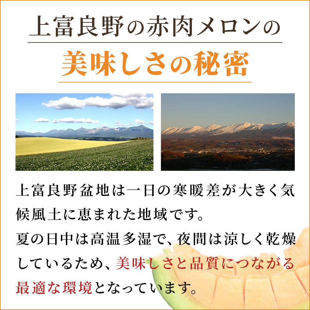 赤肉メロン 2玉 厳選 秀品 特4サイズ 富良野 北海道 各2kg～2.6kg 2玉 セット ファーム富良野 メロン めろん 果物 くだもの フルーツ デザート 旬の果物 旬のフルーツ