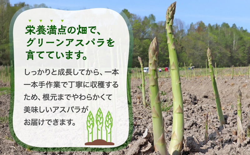 【令和9年産】2027年発送 先行予約 アスパラガス 専門農家 の 特選 グリーンアスパラ 1kg  L～2L 原農園 アスパラ 朝採りアスパラ 野菜 北海道 上富良野町