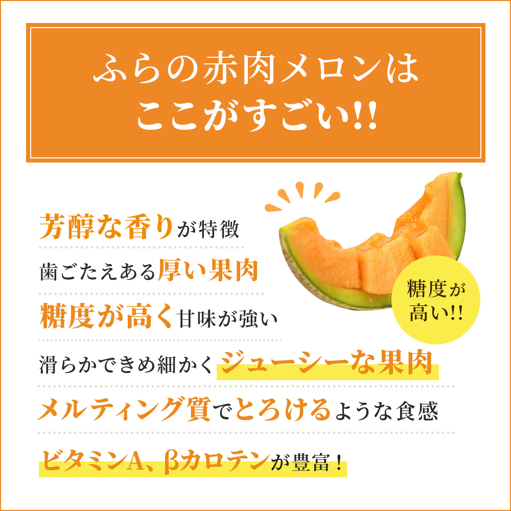 赤肉メロン 2玉 厳選 秀品 特4サイズ 富良野 北海道 各2kg～2.6kg 2玉 セット ファーム富良野 メロン めろん 果物 くだもの フルーツ デザート 旬の果物 旬のフルーツ
