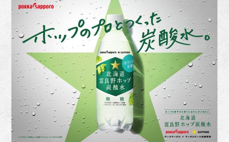 北海道 定期便 2ヵ月 連続 全2回 炭酸水 500ml × 24本 北海道富良野ホップ炭酸水 ポッカサッポロ 無糖 北海道富良野ホップ ペットボトル 炭酸飲料 炭酸 ソーダ ソーダ水 飲料 ドリンク (有)リカーショップかまだ 上富良野町