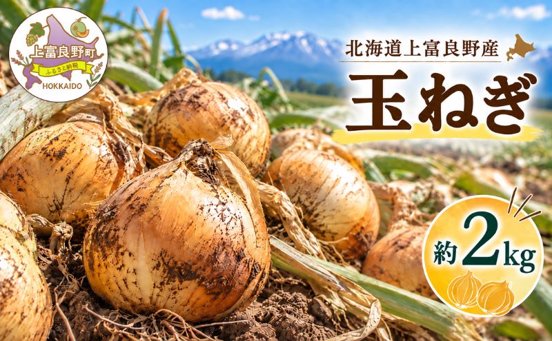 【令和8年産】北海道 上富良野 玉ねぎ 約2kg（ M-L サイズ ） 野菜 たまねぎ オニオン 産地直送 新鮮 ふらの
