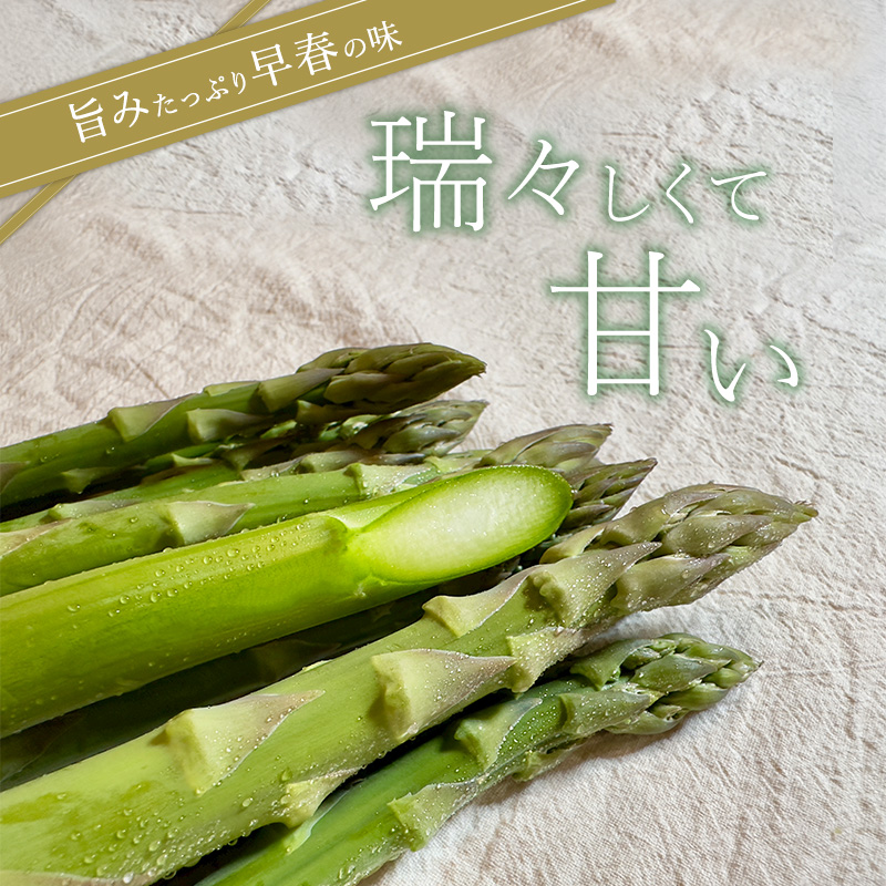 【令和7年産】先行予約北海道 上富良野産 グリーン アスパラガス M-L サイズ 900g アスパラ 上富良野町 令和7年 発送 野菜 やさい【オンライン決済限定】