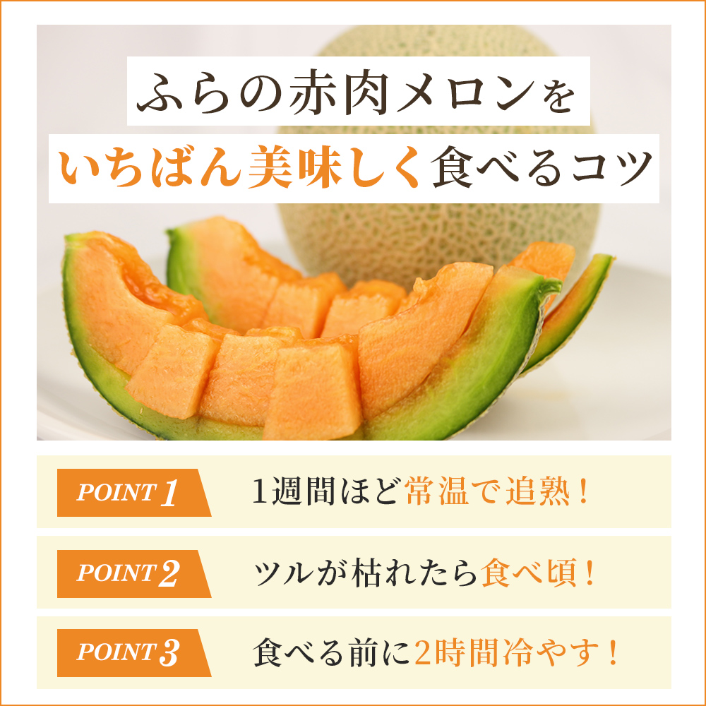 赤肉メロン 2玉 厳選 秀品 特4サイズ 富良野 北海道 各2kg～2.6kg 2玉 セット ファーム富良野 メロン めろん 果物 くだもの フルーツ デザート 旬の果物 旬のフルーツ