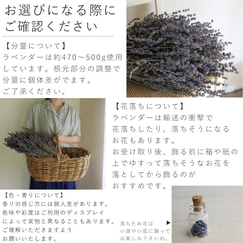 【2026年9月上旬から順次お届け】富良野 花七曜 上富良野 ラベンダー ブーケ Lサイズ ◆ ドライフラワー 花束 花 インテリア 雑貨 植物 ギフト プレゼント 贈り物