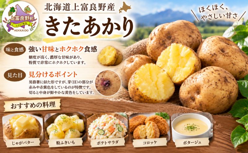 【令和8年産】じゃがいも【きたあかり】Lサイズ 約2kg≪北海道上富良野産≫ 野菜 ポテト 芋 産地直送