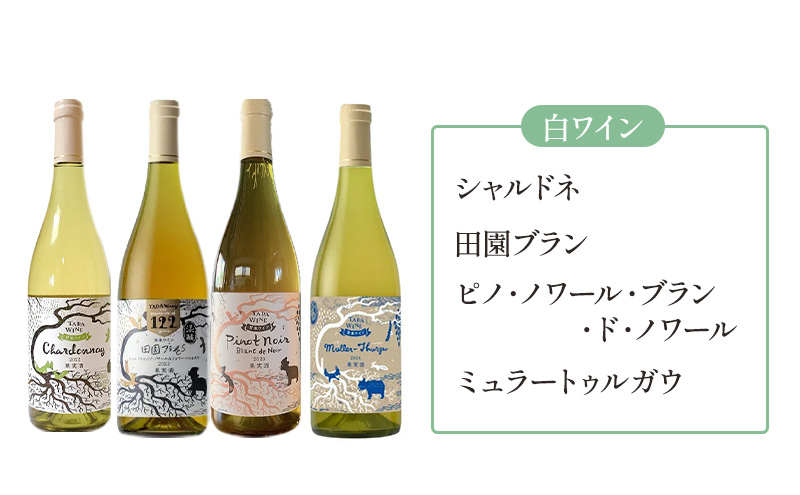 【3ヵ月定期便】野生酵母で醸したワイン 毎月3本お届け (3ヵ月間) 多田ワイナリー 北海道 上富良野町 ワイン 赤ワイン 白ワイン 微発泡ワイン オレンジワイン