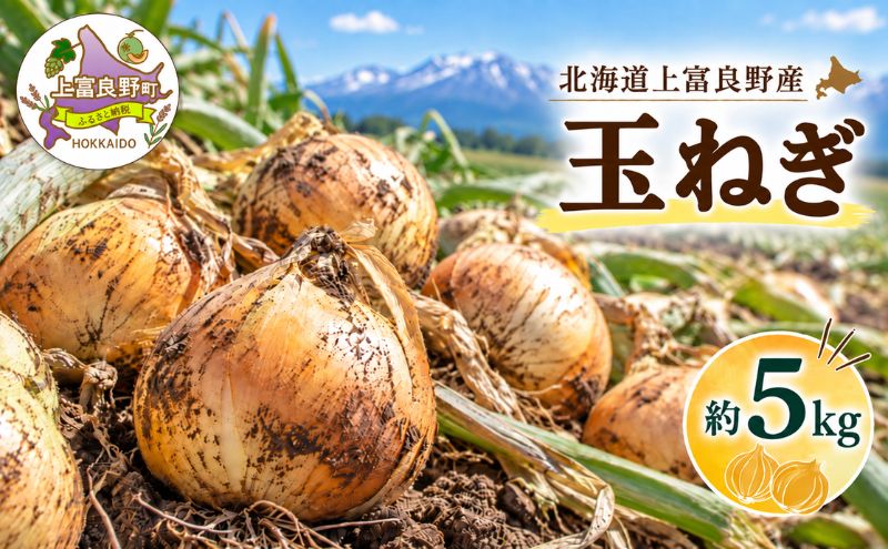 【令和8年産】玉ねぎ 5kg （ M-L サイズ ） 北海道 上富良野産 野菜 たまねぎ オニオン 産地直送 新鮮 旬の野菜