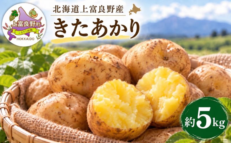 【令和8年産】じゃがいも【きたあかり】Lサイズ 約5kg≪北海道上富良野産≫ 野菜 ポテト 芋 産地直送
