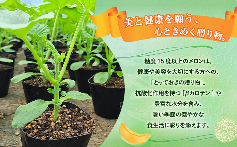 【令和8年産】富良野 高糖度 赤肉メロン 1玉 約1.8kg ～ 2.3kg うっちーfarm 北海道 メロン フルーツ 果物 デザート上富良野産