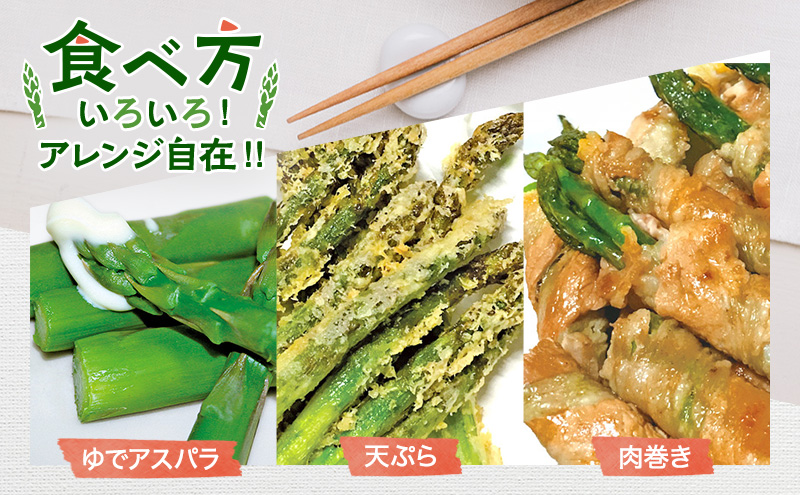 【令和9年産】2027年発送 先行予約 アスパラ 専門農家 の 特選 グリーンアスパラ 2kg M アスパラガス 原農園 朝採りアスパラ 野菜 北海道 上富良野町 グリーンアスパラ