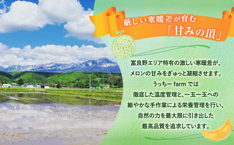 【令和8年産】富良野 高糖度 赤肉メロン 1玉 約1.8kg ～ 2.3kg うっちーfarm 北海道 メロン フルーツ 果物 デザート上富良野産