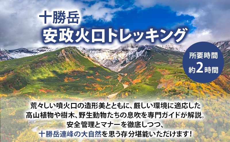 湯元 凌雲閣 ペア 日帰り 安政火口 トレッキング 体験 北海道 上富良野 サマー アクティビティ 十勝岳 夏期