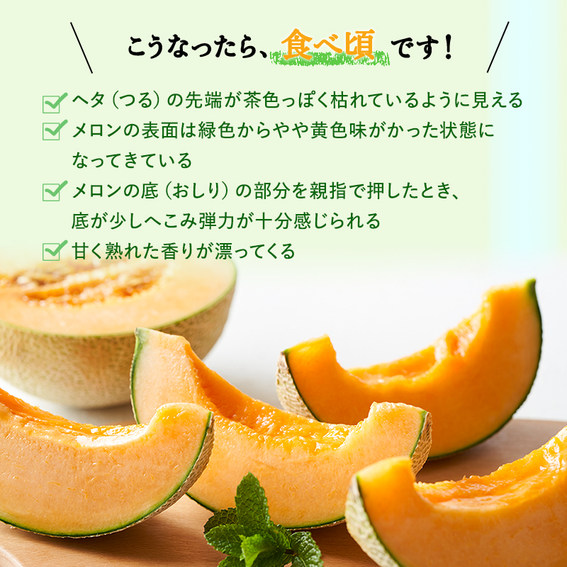【令和8年産】 メロン ふらの 赤肉メロン LLサイズ 約2kg 2玉 糖度限界突破 ふらのメロン 果物 フルーツ デザート 旬の果物 北海道 富良野 上富良野町