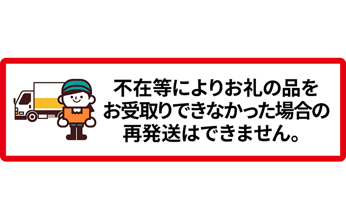 【令和8年産】朝採り【白いとうもろこし】L-LL 8本セット≪北海道上富良野町産≫ 野菜 トウモロコシ 