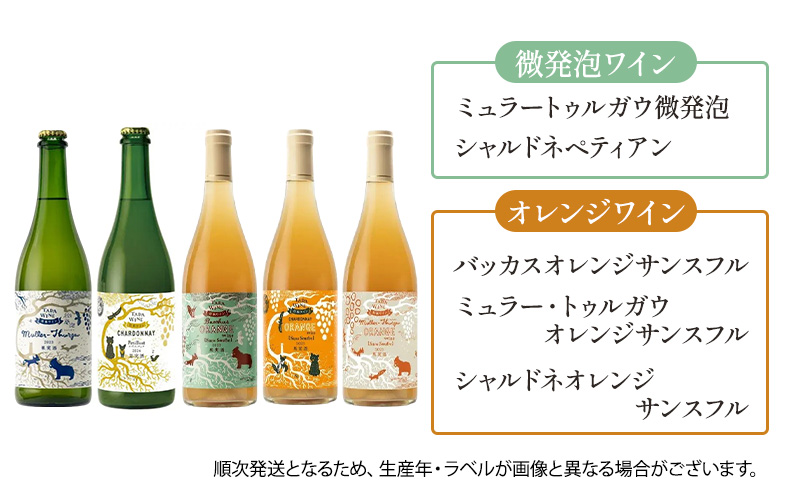 6ヵ月定期便◆野生酵母ワイン 毎月3本お届け(6ヵ月間) 多田ワイナリー 北海道 上富良野町 ワイン 赤ワイン 白ワイン 微発泡ワイン オレンジワイン