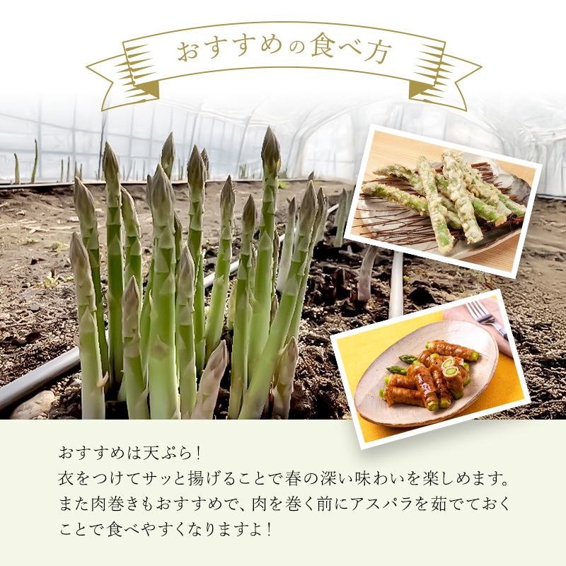 【令和7年産】先行予約 北海道 上富良野産 ホワイト ＆ グリーン アスパラ L サイズ 900g アスパラガス ホワイト グリーン アスパラ 上富良野町 令和7年発送 野菜【オンライン決済限定】