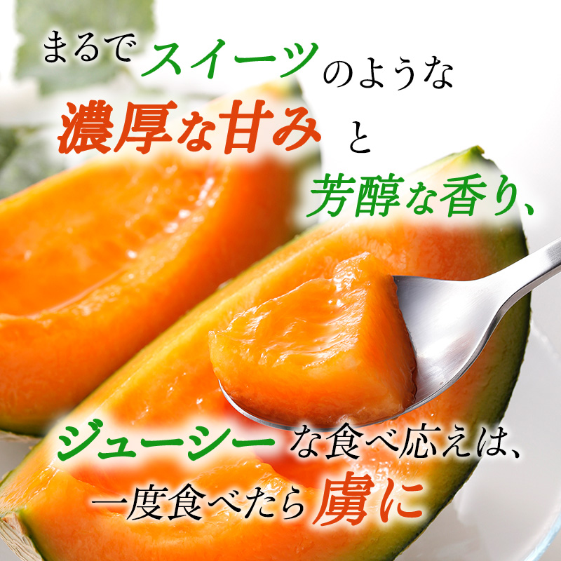 【令和8年産】JAふらの厳選！約2.5kg×1玉 赤肉メロン メロン めろん 富良野メロン 果物 くだもの フルーツ 富良野 デザート 北海道 国産 上富良野産 北海道産 食後 来客 北海道メロン