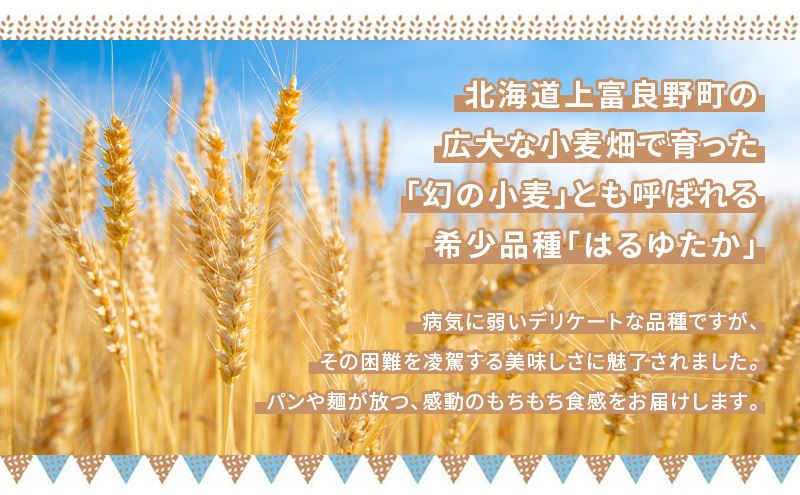 上富良野町産 はるゆたか ラーメン&うどんセット[ラーメン8個/うどん2個] 自社農園産小麦ラーメン うどん スープ セット 小麦 はるゆたか 麺類 詰め合わせ 北海道 上富良野町