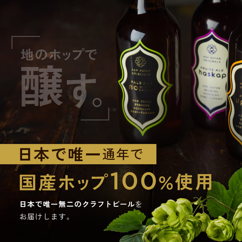 12ヵ月連続定期便 クラフトビール HOP KOTAN 定番ビール 24本 セット 定番3種各8本 ビール 発泡酒 地ビール お酒 酒 アルコール ギフト 贈り物 プレゼント 北海道 上富良野町