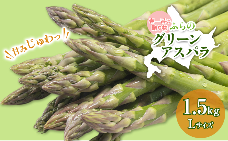 【令和9年産】アスパラガス グリーンアスパラ 1.5kg Lサイズ アスパラ 野菜 北海道 上富良野町 ふらの農業協同組合