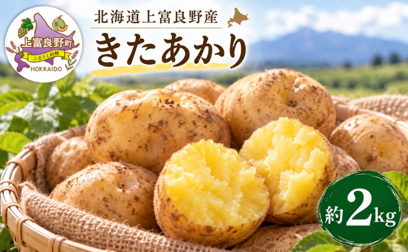【令和8年産】じゃがいも【きたあかり】Lサイズ 約2kg≪北海道上富良野産≫ 野菜 ポテト 芋 産地直送