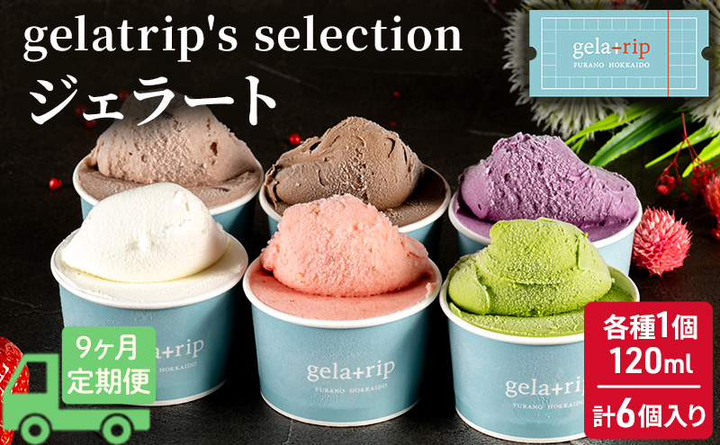 ≪9ヵ月定期便≫ジェラート6個 gelatrip's selection 北海道 上富良野町 