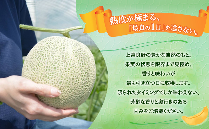 【令和8年産】富良野 高糖度 赤肉メロン 1玉 約1.8kg ～ 2.3kg うっちーfarm 北海道 メロン フルーツ 果物 デザート上富良野産