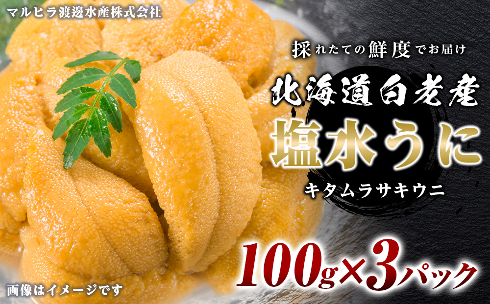 2026年発送 先行受付 ウニ本来の味が楽しめる【白老産】塩水ムラサキウニ 100g×3パック BT009