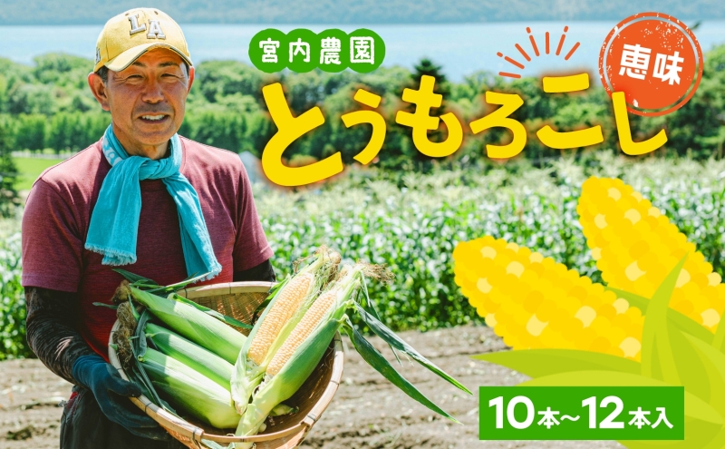 北海道産 とうもろこし 糖度20度以上 恵味 めぐみ 2L 10～12本 2026年7月下旬～8月下旬頃にお届け 先行受付 朝採り トウモロコシ スイート コーン  旬 夏 野菜 新鮮 産地直送 宮内農園 洞爺湖町