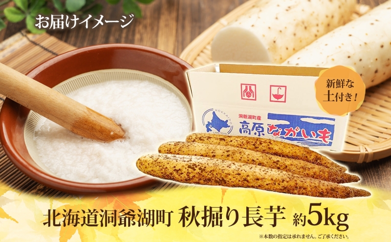 北海道 洞爺湖町産 秋掘り 長芋 約5kg 先行受付 2026年 11月中旬～下旬にお届け 長いも ながいも 芋 山芋 山うなぎ とろろ ステーキ 万能 旬 秋 野菜 根菜 常温 塩田農園 