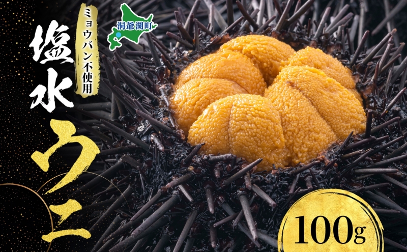ミョウバン不使用 塩水 ウニ100g 1パック 7月下旬頃までお届け [水揚げ後 順次出荷] キタムラサキウニ うに ウニ 雲丹 ムラサキウニ 北海道産 魚貝 魚介 海鮮 海産 小川商店 送料無料 北海道 洞爺湖