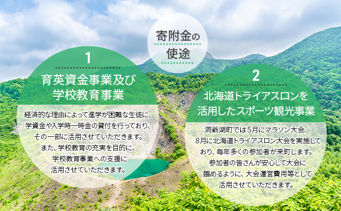洞爺湖町 寄附のみの応援受付 5,000円コース（返礼品なし 寄附のみ 5,000円） 5000円 