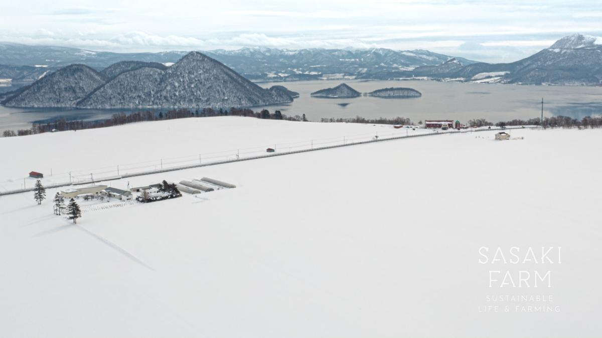 旬の野菜詰め合わせ ～ありがとうBOX2026・大～ 12月1日～1月31日頃お届け 先行予約 北海道 野菜 やさい 詰め合わせ セット 北海道産 常備菜 加工品 自然栽培 佐々木ファーム 産地直送 洞爺湖町