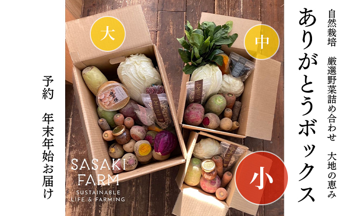 旬の野菜詰め合わせ ～ありがとうBOX2026・小～ 12月1日～1月31日頃お届け 先行予約 北海道 野菜 やさい 詰め合わせ セット 北海道産 常備菜 加工品 自然栽培 佐々木ファーム 産地直送 洞爺湖町