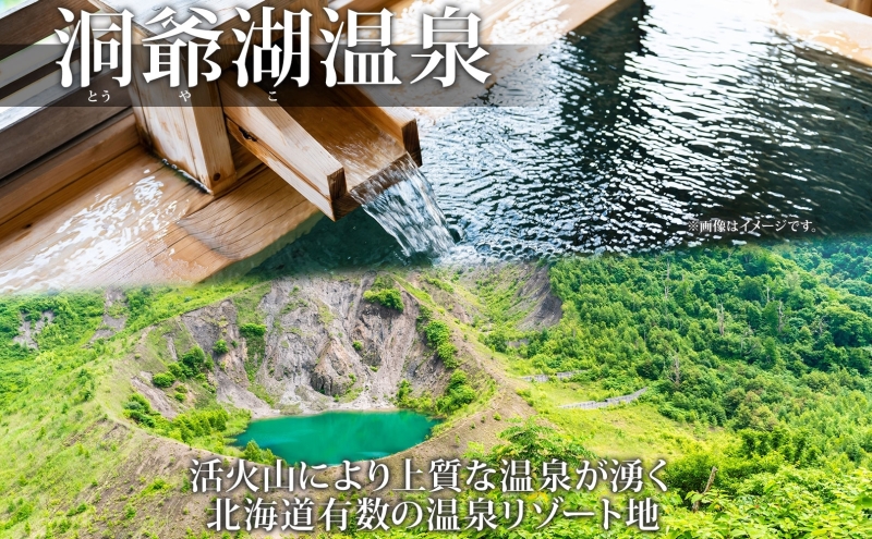 洞爺湖温泉感謝券 450000円 分 金券 クーポン 洞爺湖 湖 温泉 リゾート 有珠山 火山 自然 花火 イルミネーション 旅行 観光 宿泊 施設 北海道 ふるさと納税 絶景 旅 体験 
