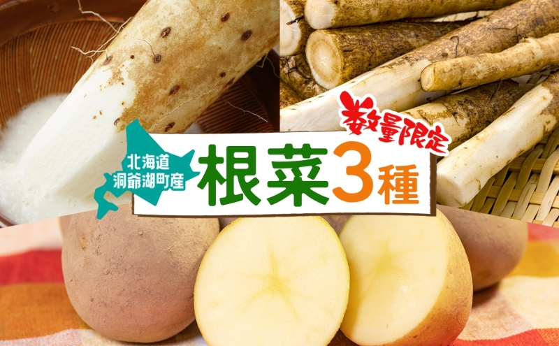 数量限定 根菜3種セット 計8.6kg 土付き 長芋 5kg 土付き ごぼう 1.8kg じゃがいも 1.8kg 先行予約 2026年11月下旬～12月下旬までのお届け 野菜 詰め合わせ 根菜 常温 青野農園 北海道 洞爺湖町