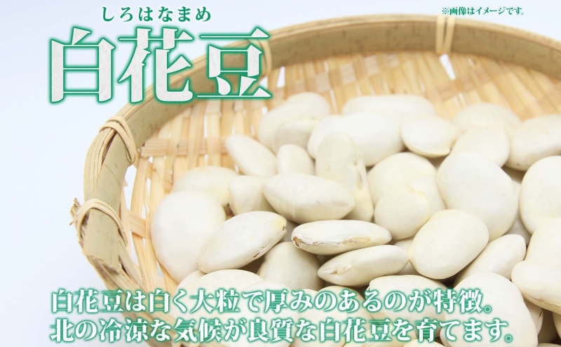 北海道 洞爺湖町産 高級菜豆 白花豆 500g×2袋 計1kg 1月下旬よりお届け しろはなまめ 花豆 豆 マメ まめ 大粒 甘い 北海道産 国産 煮豆 スープ 煮込み料理 常温 お取り寄せ 送料無料 【 洞爺湖町 】