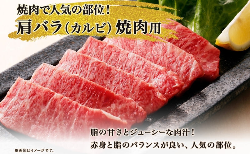 北海道 とうや湖和牛 肩バラ 焼き肉用 300g 黒毛和種 黒毛和牛 霜降り カルビ 和牛 国産牛 A4ランク 幻の和牛 ブランド牛 牛肉 肉 牛 甘い 焼肉 BBQ とうや湖農業協同組合 送料無料 