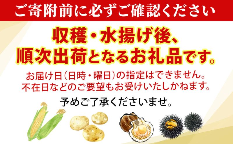 北海道産 青野農園 じゃがいも とうや Lサイズ 約10kg 2026年10月初旬～12月下旬頃お届け 先行予約 北海道 ジャガイモ トウヤ 馬鈴薯 ポテト 芋 いも イモ 黄色 旬 野菜 農作物 産地直送 お取り寄せ 国産 