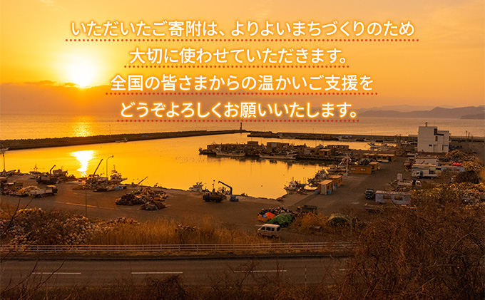 洞爺湖町 寄附のみの応援受付 5,000円コース（返礼品なし 寄附のみ 5,000円） 5000円 