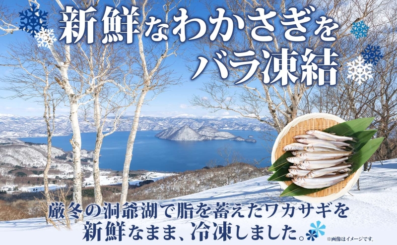 【ふるさと納税】洞爺湖町産 黄金のわかさぎ  18尾×6P 計108尾 12月以降順次出荷 北海道産 ワカサギ わかさぎ 川魚 魚介類 産地直送 冷凍 お取り寄せ グルメ 天ぷら とうやマルシェ 北海道 洞爺湖町
