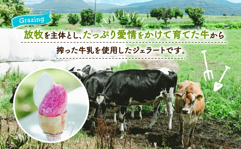 北海道 まきばのジェラート かぼちゃ130ml×6個 カボチャ 南瓜 ジェラート ミルク スイーツ デザート 氷菓 牛乳 保存料不使用 アイス お取り寄せ グルメ ギフト アイスクリーム 牧場 自家製 レークヒルファーム 送料無料 洞爺湖 