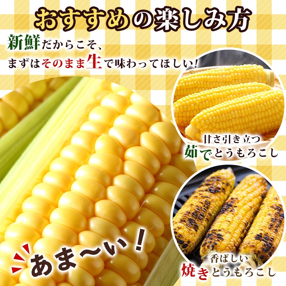 北海道 とうもろこし 恵味ゴールド 約5kg 11本入り 2027年8月11日～31日頃お届け トウモロコシ コーン 甘い 産地直送 BBQ とうきび 国産 人気 バーベキュー 焼きとうもろこし お取り寄せ 北海道産 洞爺湖町 