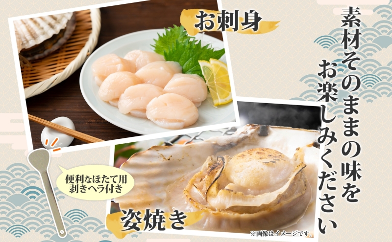 北海道産 活ほたて 2年貝 約4kg 30枚～45枚 2027年1月中旬以降水揚げ次第出荷 ほたて 帆立 ホタテ 生 貝 魚貝 魚介 海産 海鮮 貝柱 噴火湾 刺身 送料無料 北海道 洞爺湖町