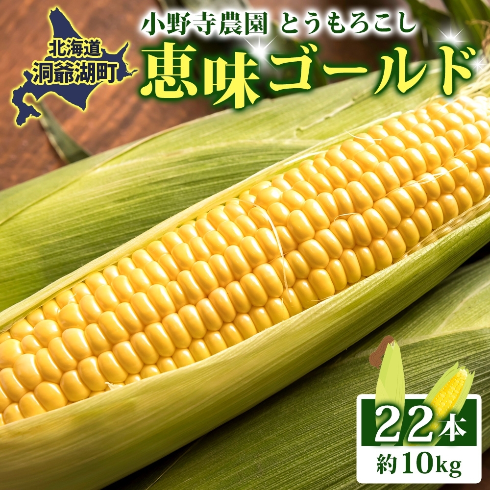 北海道 とうもろこし 恵味ゴールド 10kg 22本入り 2027年8月11日～31日頃お届け トウモロコシ コーン 甘い 産地直送 BBQ とうきび 国産 人気 バーベキュー 焼きとうもろこし お取り寄せ 北海道産 洞爺湖町
