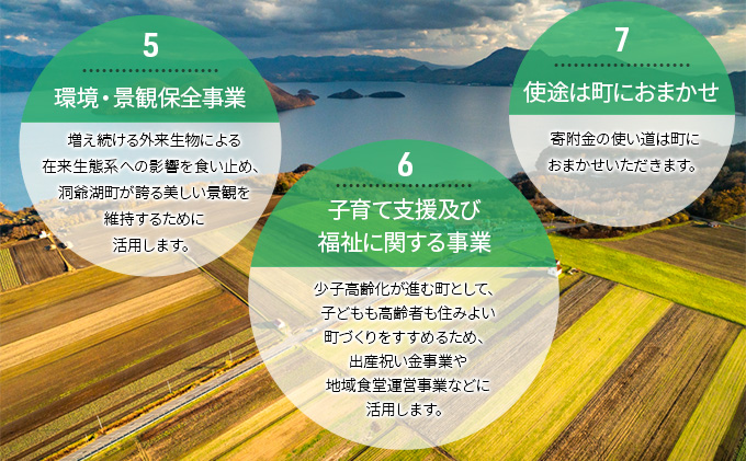 洞爺湖町 寄附のみの応援受付 5,000円コース（返礼品なし 寄附のみ 5,000円） 5000円 