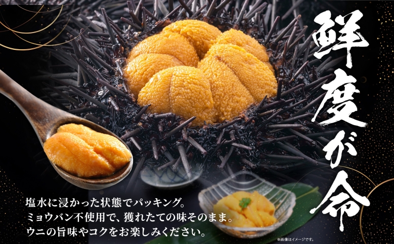 ミョウバン不使用 塩水 ウニ100g 1パック 7月下旬頃までお届け [水揚げ後 順次出荷] キタムラサキウニ うに ウニ 雲丹 ムラサキウニ 北海道産 魚貝 魚介 海鮮 海産 小川商店 送料無料 北海道 洞爺湖